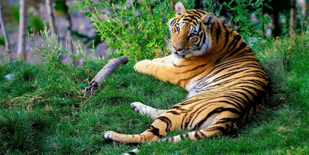 Mehao Wildlife Sanctuary